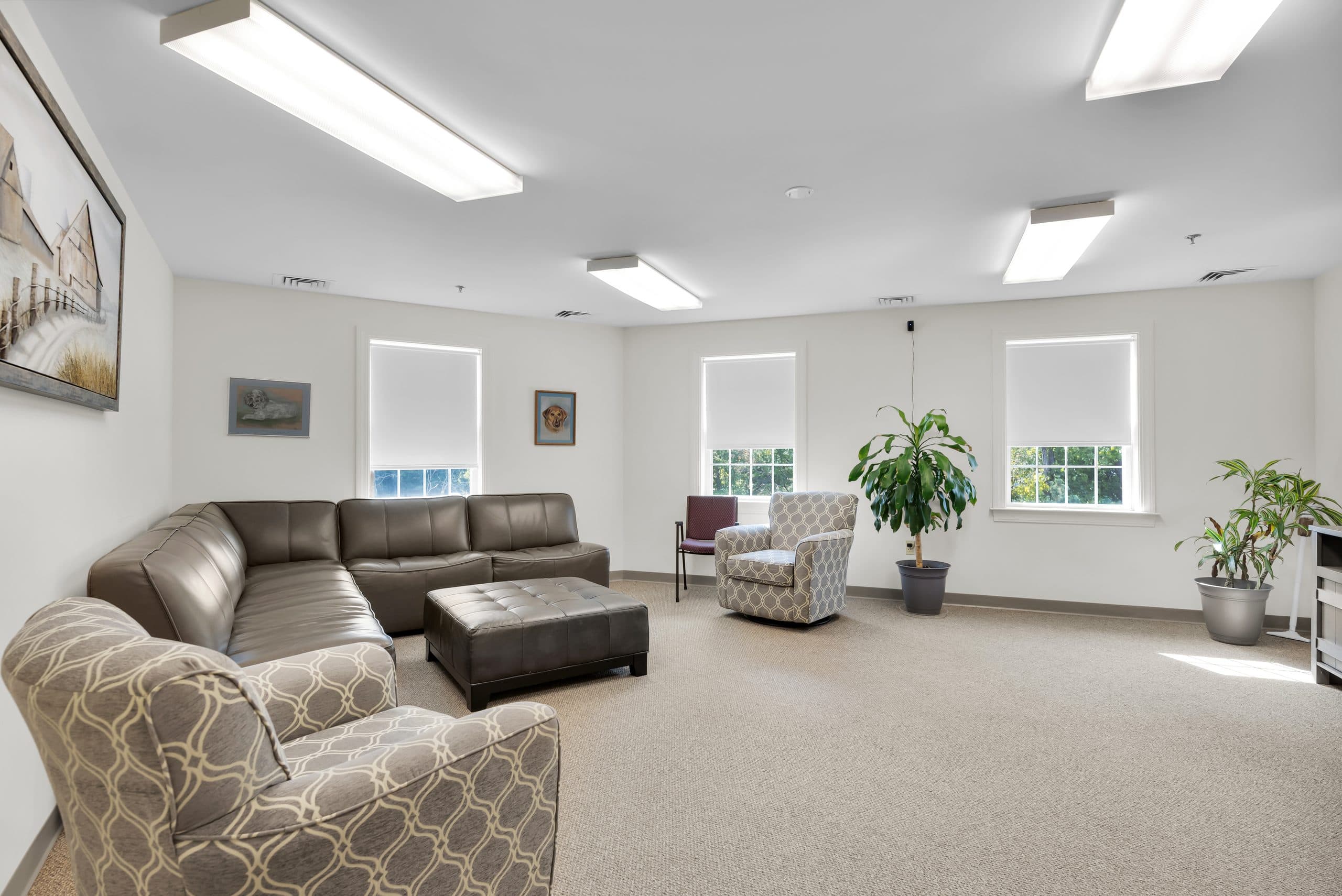 A carpeted TV lounge with a sectional sofa, armchairs and plants